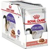 Royal Canin Sterilised kapsičky pre mačky v šťave 12 x 85 g