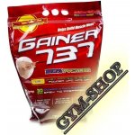 Megabol Gainer 737 3000 g Cookies Megabol Gainer 737 3000 g Cookies