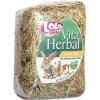 LOLO LOLOpets seno pre hlodavce 250 g