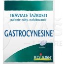 Gastrocynesine tbl.60