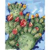 Zuty – Maľovanie Podľa Čísel – Kaktus (Alexandria Gilbert), 40 × 50 cm, Plátno 8596530120124