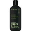Pánsky posilňujúci šampón a kondicionér 2v1 Super Leaves Matcha & Bergamot (Shampoo & Conditioner) 415 ml