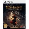 Mandragora: Whispers of the Witch Tree - Collectors Edition (PS5)