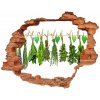 Foto fotografie diera na stenu Byliny na povrázku 90x70 cm