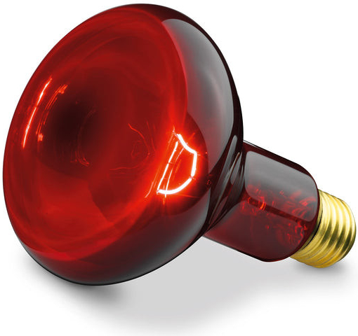 Infra žiarovka zdravotníctvo R95 100W E27 230V červená od 9,9 € - Heureka.sk