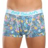 Pánske boxerky 69SLAM Hip TROPICAL VISION MASON (MSYTVN-PO) M 120 dní na výmenu alebo vrátenie tovaru!
