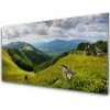 Obraz na akrylátovom skle Hora lúka krajina 100x50 cm