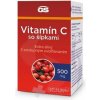 GS Vitamín C 500 mg so šípkami tbl 100+20 (inov.2023) (120 ks)