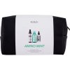Redken Amino Mint Vánoční sada šampon 300 ml + zhušťující vlasový sprej 125 ml + péče proti vypadávání vlasů 90 ml darčeková sada