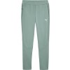 Pánske tepláky Puma, EVOSTRIPE PANTS svetlo zelená,Biela XL