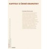 Kapitoly z české gramatiky - František Štícha