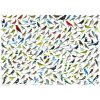 Puzzle Eurographics Puzzle Svet vtákov 1000 dielikov (628136608213)