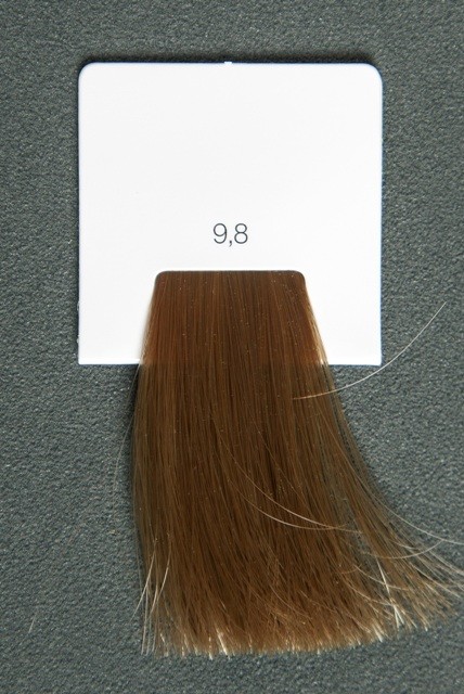 L'Oréal Inoa ODS2 farba na vlasy 9,8 (Coloration) 60 ml od 7,79 € -  Heureka.sk