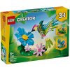 LEGO 31384 Divoké zvieratá: Farebný kolibrík