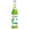 Monin Concombre - Uhorka, 0.7 L (čistá fľaša)