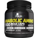 Olimp Anabolic Amino 9000 300 tabliet