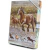 ARGUS Box na zošity A5 Wild horses 12410414