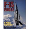 Mcdonnell-douglas F-15 Eagle: a Photo Chronicle (Mike Wallace)(Brožovaná)