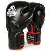 Boxerské rukavice DBX BUSHIDO BB2 10oz