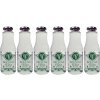 ARAX BIO Brezová šťava 6 Pack 6 x 1L