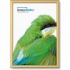Jansen Display Klaprám A2, ostrý roh, profil 25mm, zlatý elox, 451 x 625 mm