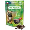 Maškrta Dr. Animal Sportline jahňa 100g