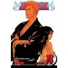 Bleach, Vol. 74