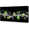 Foto obraz canvas Limetka s mätou 100x50 cm