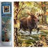 Norimpex Diamantové maľovanie Žreb v rieke 30 x 40 cm