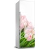 Foto tapeta na chladničku Ružové tulipány 60x180 cm