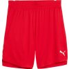 Šortky Puma Teamjaws Starter Short 685364-04 Veľkosť L