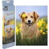 Grafix Diamantové maľovanie Pes v narcisoch 30 x 30 cm