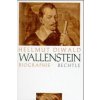 Wallenstein (Hellmut Diwald)()