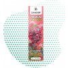 CanaPuff THP420 79 % Jednorázové pero Black Cherry Fizz, 1 ml