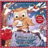 Vianočné listy sovičke - Lara Andersová, Anja Groteová