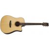 Tanglewood TJ 5 CE