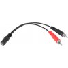 CABLETECH JACK 3,5mm - 2RCA 20cm KPO2906