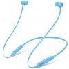 Apple Beats Flex