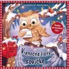 Vianočné listy sovičke - Lara Andersová , Anja Groteová