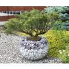 GabionyLemon Gabiónový kvetináč GB7 GKXL ø60cm