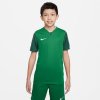 Nike Trophy V JSY Jr T-shirt DR0942-302 (192560) Black S (128-137cm)
