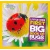 Little Kids First Big Book of Bugs (Catherine D Hughes)(Pevná)