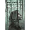 The Lost Witch - Melvin Burgess