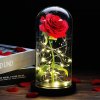 Červena premium ruža v skle - Svietiace ruže