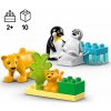 LEGO LEGO® Duplo 10442 Rodinky divokých zvierat: Tučniaky a levy