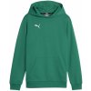 Puma | teamGOAL Casuals Hoody Kids | zelená| 116
