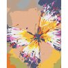 ZUTY Maľovanie podľa čísel - FAREBNÝ MOTÝĽ Rámovanie: vypnuté plátno na rám, Rozmer: 40x50 cm