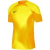 Brankársky dres Nike Dri-FIT ADV Gardien 4 M DH7760-719