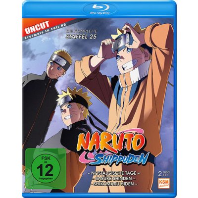 Naruto: Šippúden (2007), Epizody