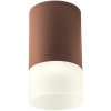 Redo 90355 XILO exteriérové ​​stropné svietidlo COB LED 6W | 570lm | 4000K | IP54 - hnedá